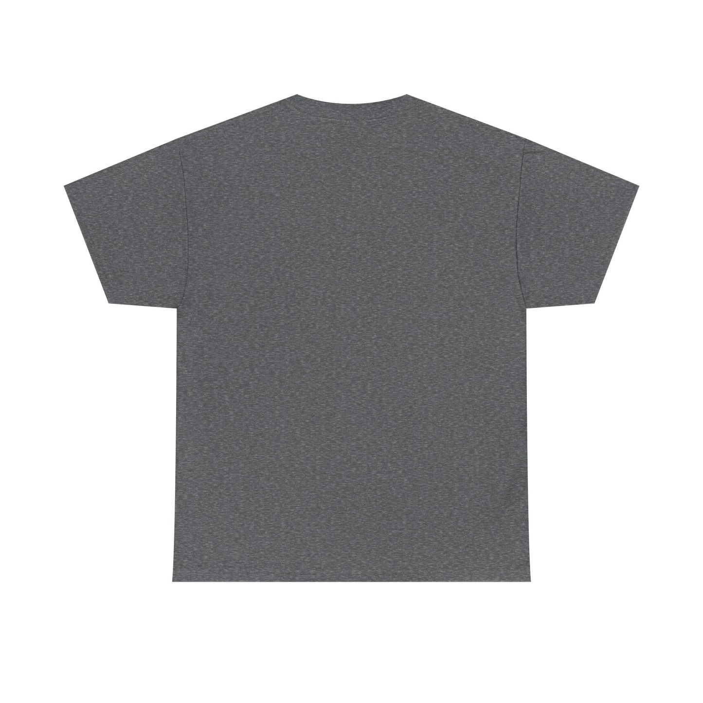 Casual Statement Tee - Unisex  Heavy Cotton T-Shirt, Everyday Wear, Gift for Friends, Motivational Apparel, Unique Graphic Tee