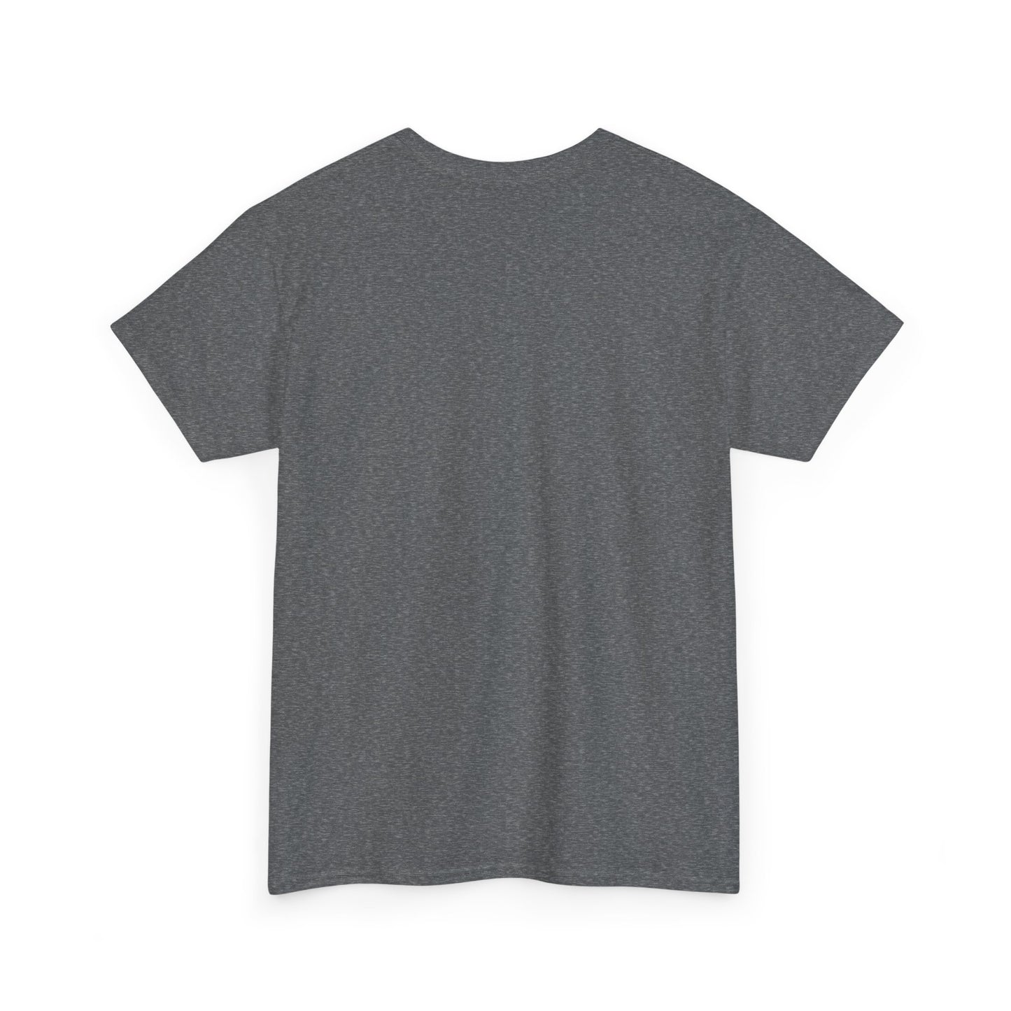 Casual Statement Tee - Unisex  Heavy Cotton T-Shirt, Everyday Wear, Gift for Friends, Motivational Apparel, Unique Graphic Tee